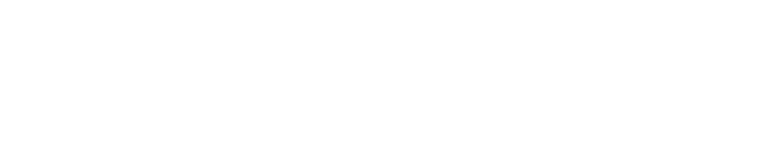 Fiobras
